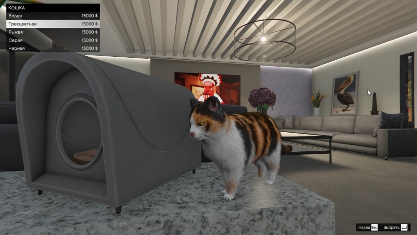 Кошка в GTA Online