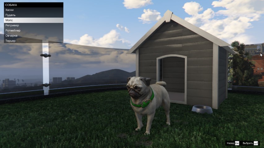 Собака в GTA Online